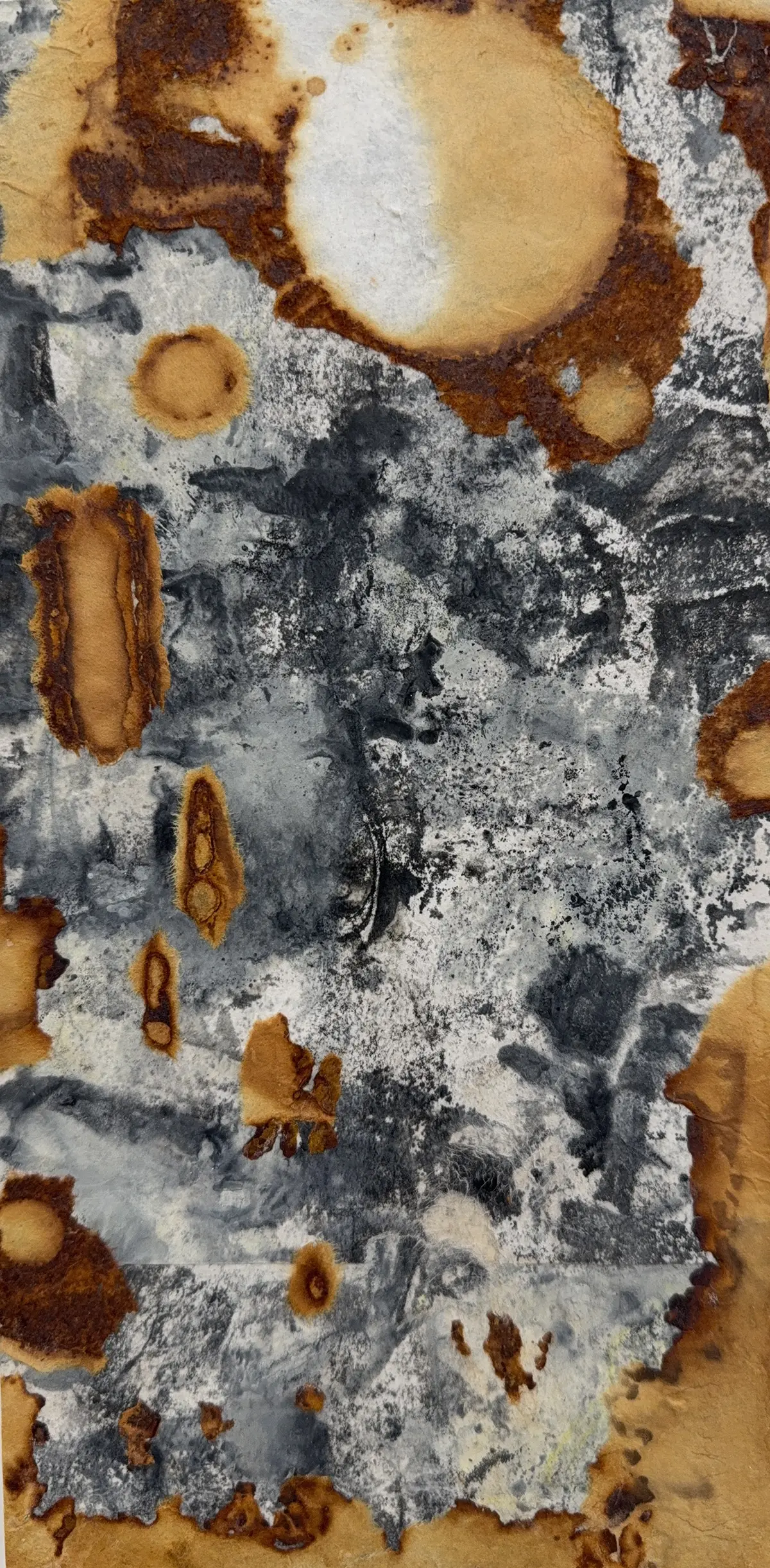 Artemis 2 — Wax based collage on panel · 12" × 6"